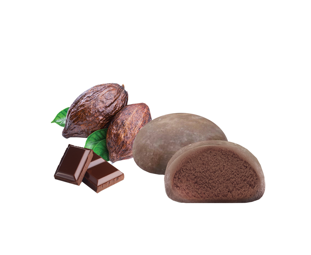 Choco Japanese Mochi Cream Ice